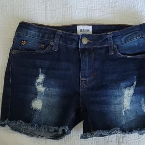 Hudson cutoff denim shorts 14